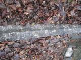 image of grave number 373674